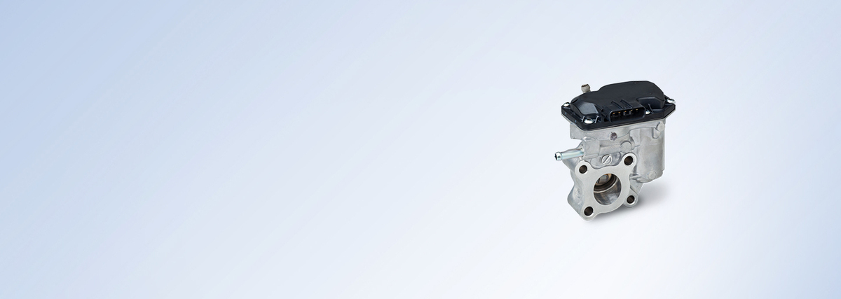 Exhaust Gas Recirculation Valves 1440x512px cover image